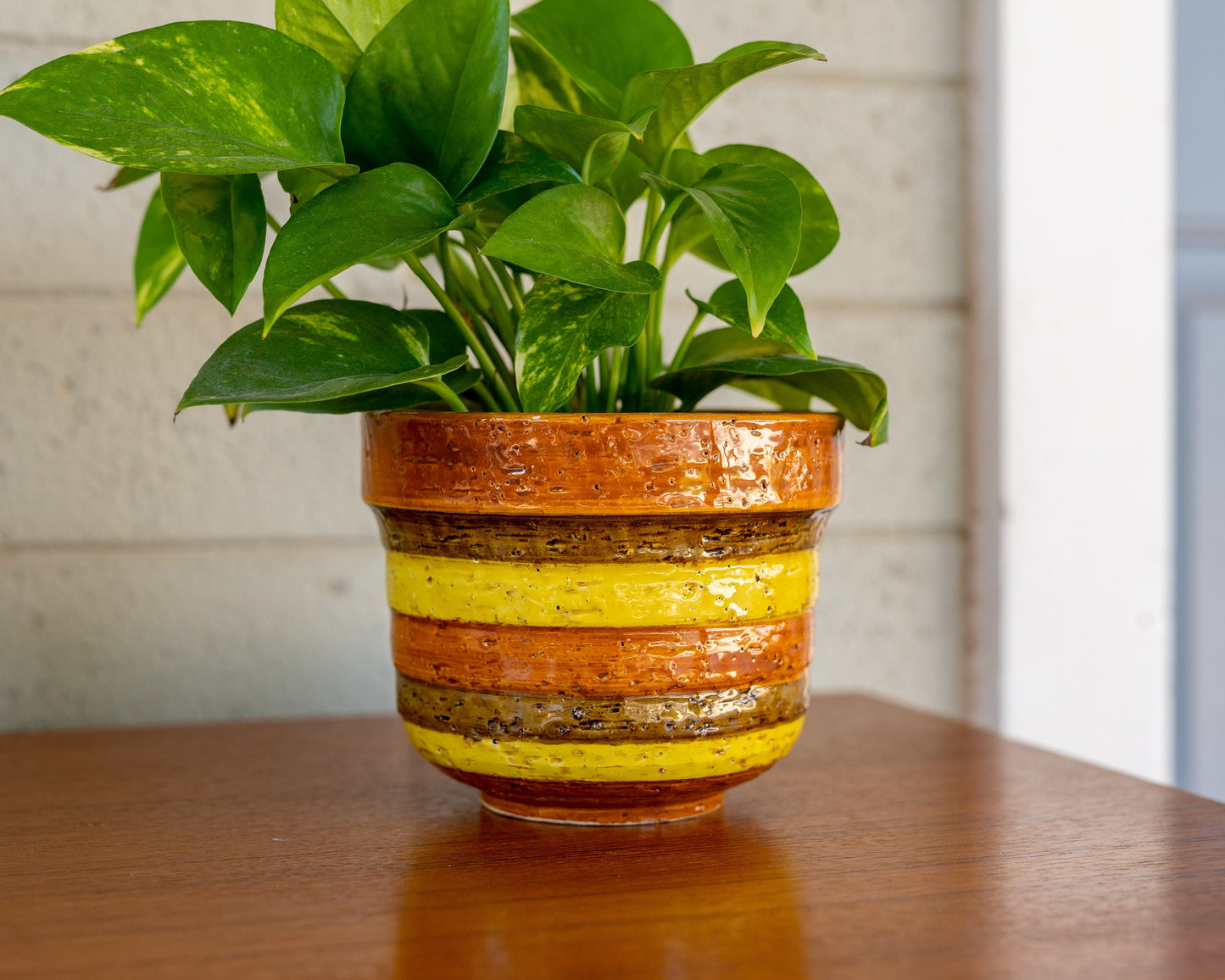 Vintage Bitossi Style Ceramic Planter Pot